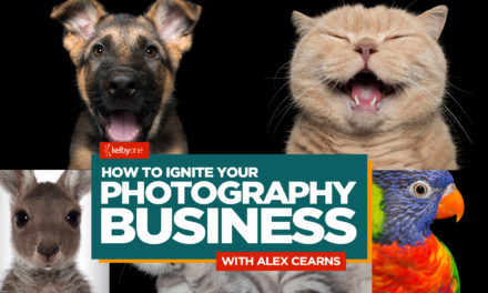 New Class Alert! How to Ignite Your Photography Business with Alec Cearns