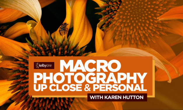 New Class Alert! Macro Photography: Up Close and Personal with Karen Hutton