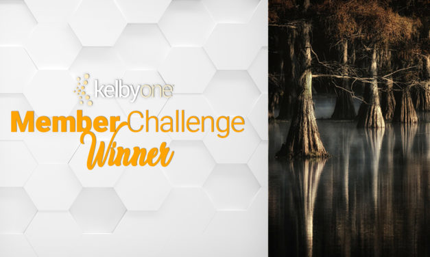 Member Challenge 47 Winner | Gary Hunter