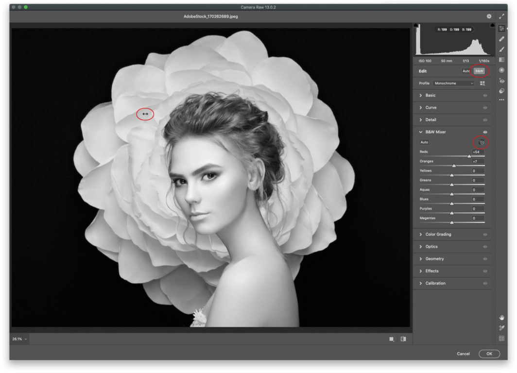 Four Methods for Going from Color to Black & White in by Lesa