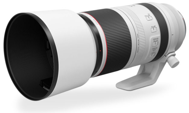 REVIEW: Canon RF100–500mm F4.5–7.1 L IS USM