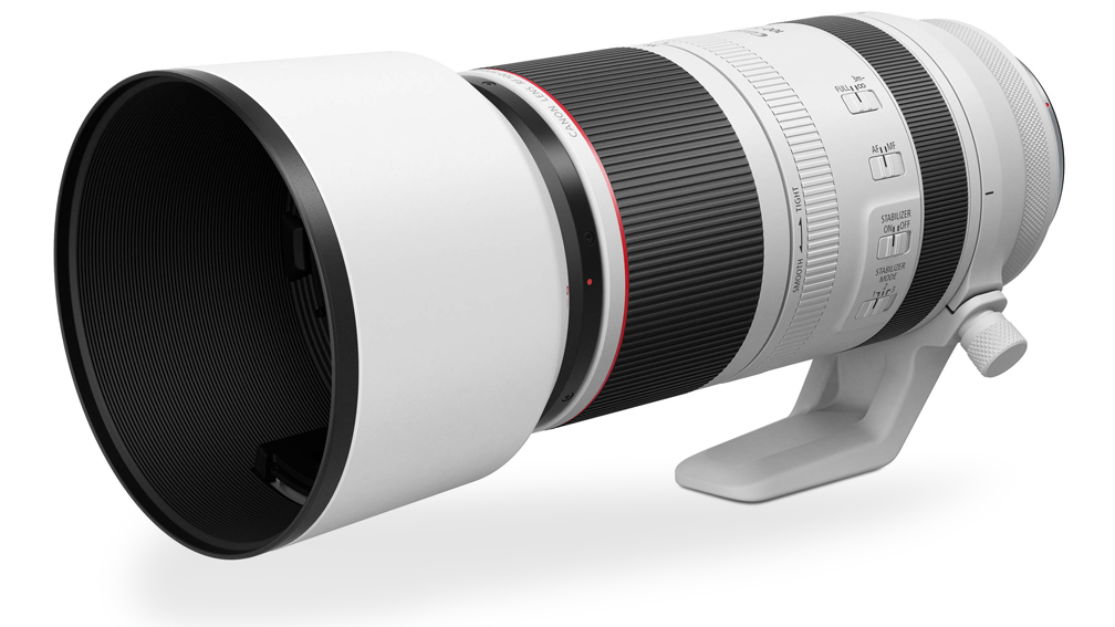 REVIEW: Canon RF100–500mm F4.5–7.1 L IS USM