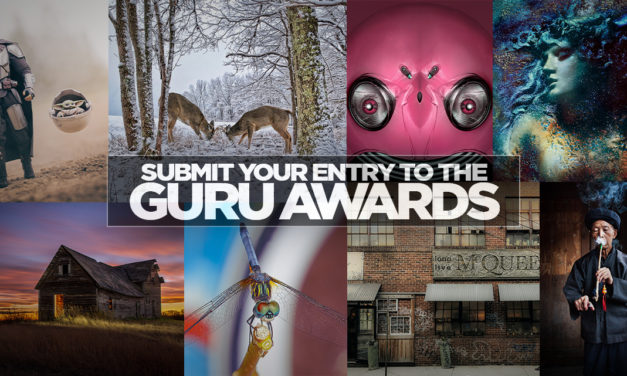Have You Got What it Takes to be a Guru Award Winner?