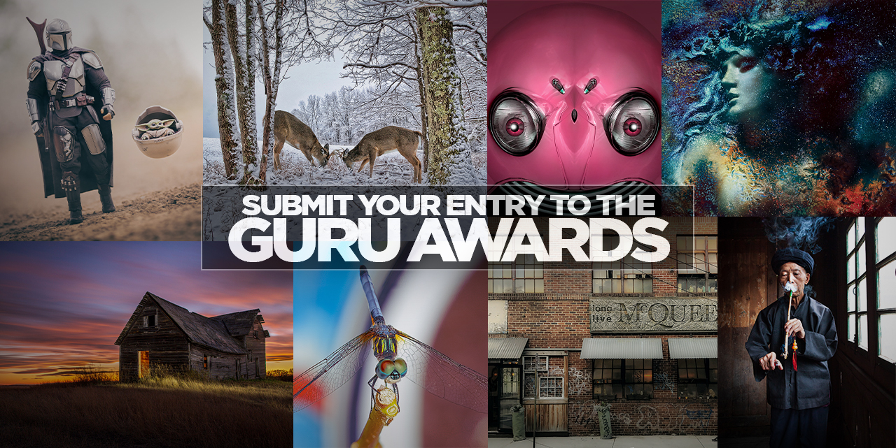 Have You Got What it Takes to be a Guru Award Winner?