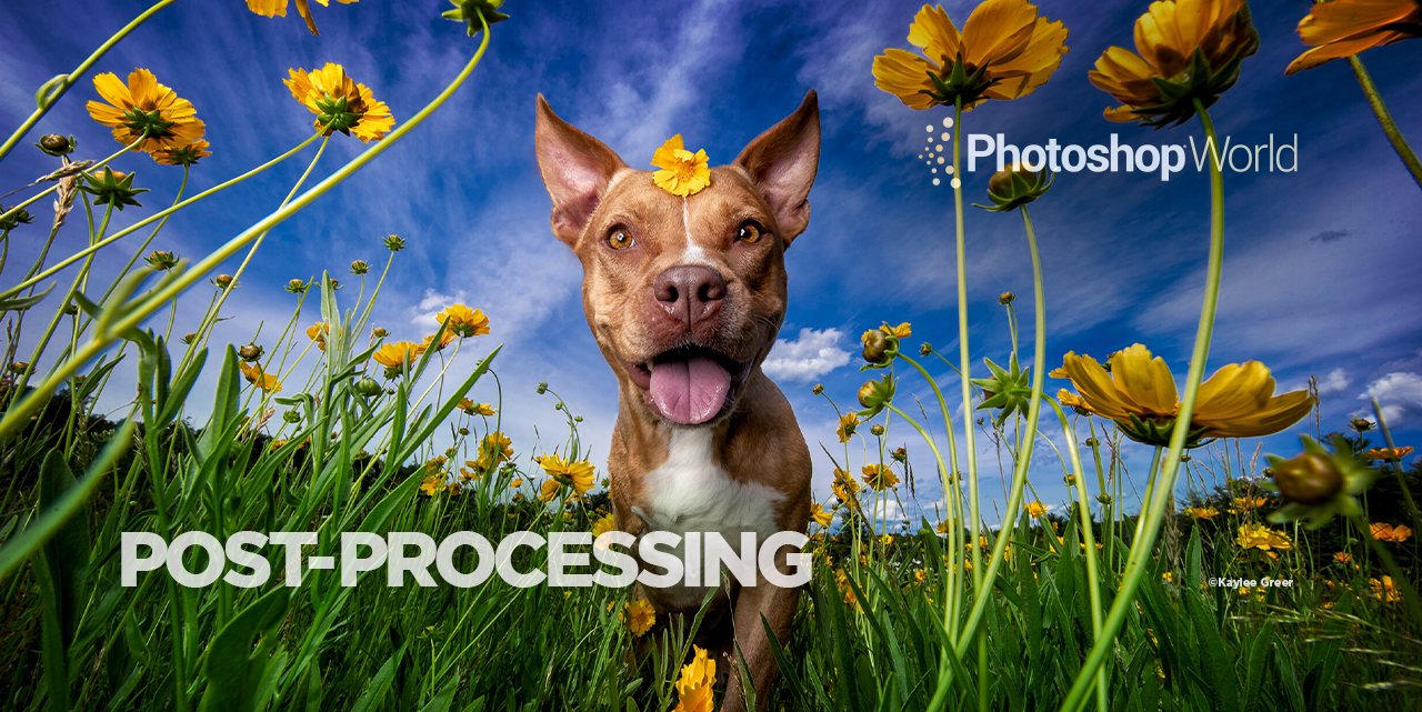 Your Guide to Photoshop World | Post-Processing