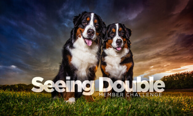 Enter the Seeing Double Member Challenge! ( & Win Prizes!!)