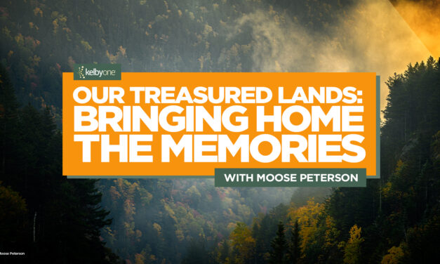 New Class Alert! Our Treasured Lands: Bringing Home the Memories with Moose Peterson