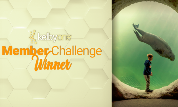 Summer Fun Winner: Airon Mothershed | Member Challenge 51