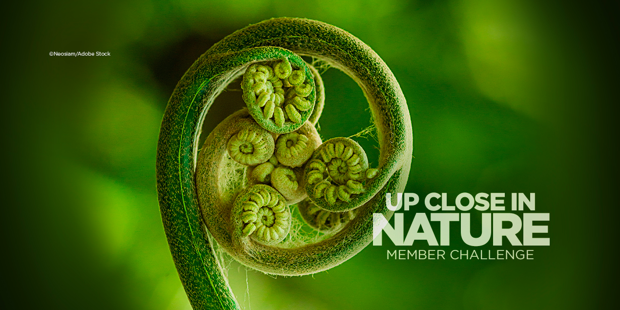 Enter the Up Close In Nature Member Challenge! (& Win Prizes!!)