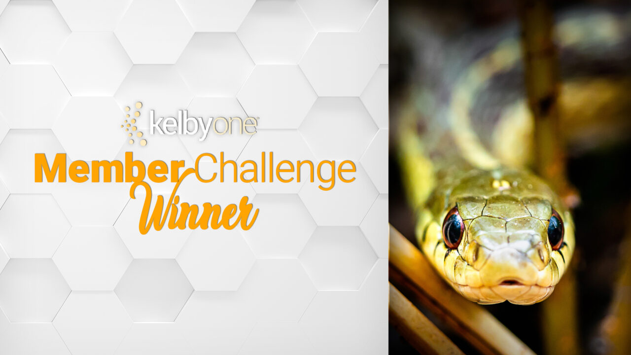 Up Close in Nature Winner: Kevin Rose | Member Challenge 54