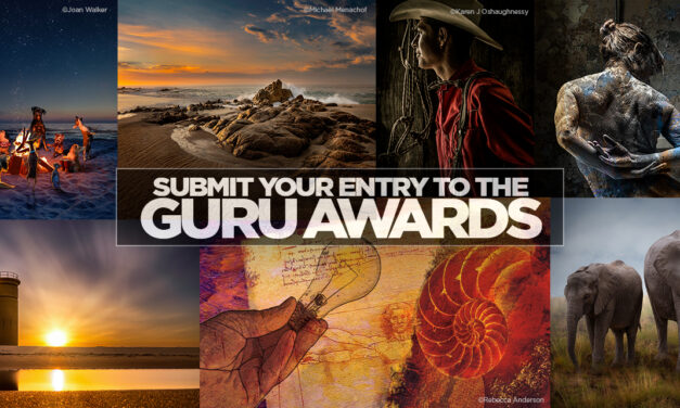 Call for Entries! Will You Be One of Our 2023 Guru Award Winners?
