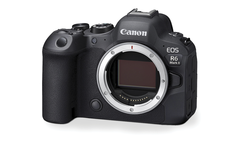 Review: Canon EOS R6 Mark II Body