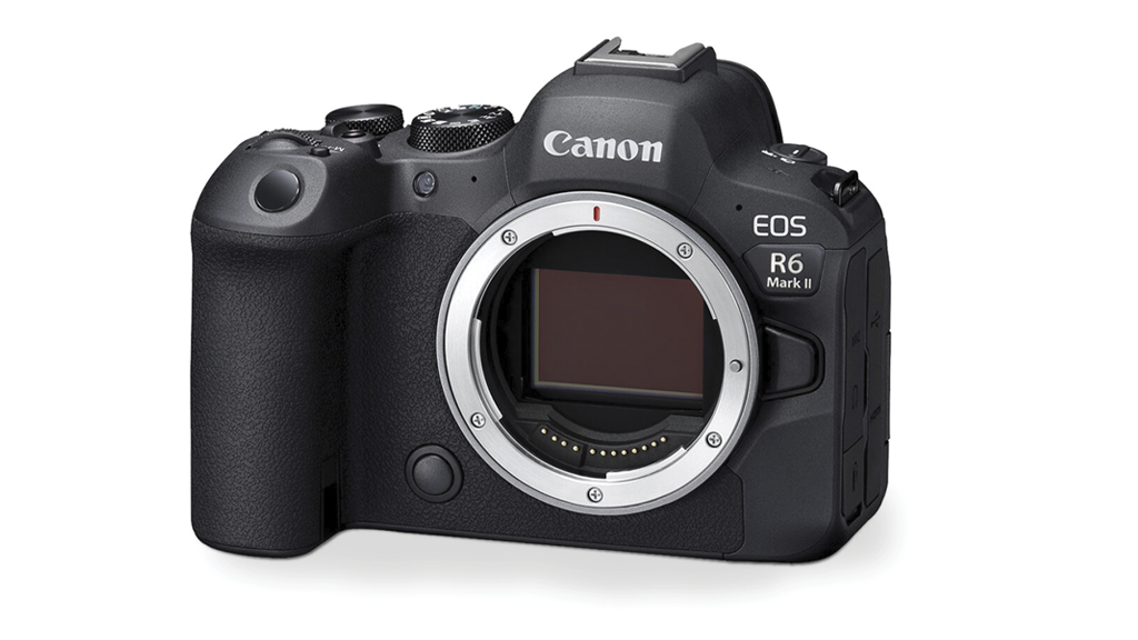 Canon EOS R6 Mark II - How to set up your new camera: Digital