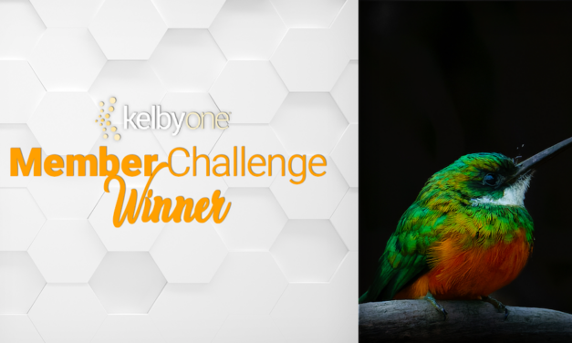 Vibrant Color Winner: Turgay Uzer | Member Challenge 56