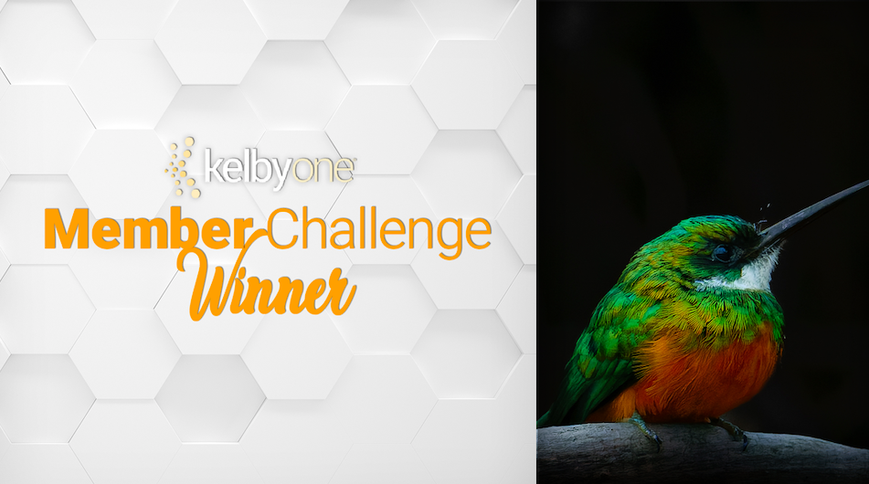 Vibrant Color Winner: Turgay Uzer | Member Challenge 56