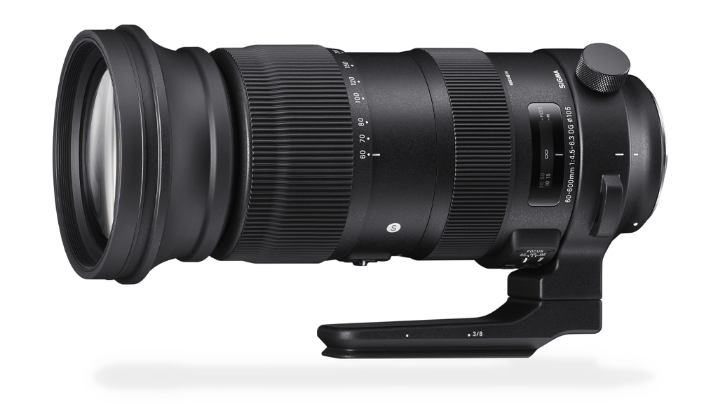 Review: Sigma 60–600mm F4.5–6.3 DG OS HSM | S