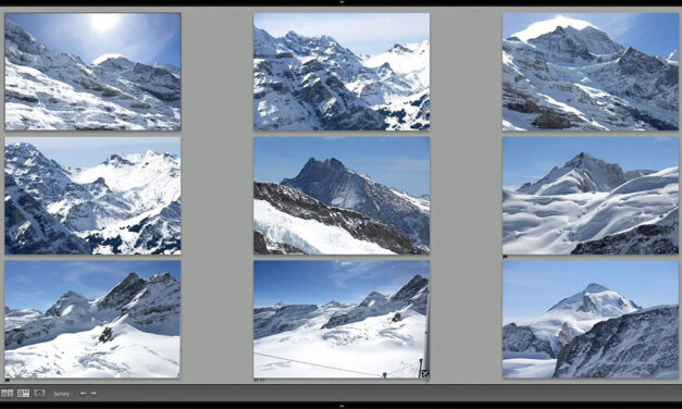 Streamlining Your Photo Selection Process in Lightroom