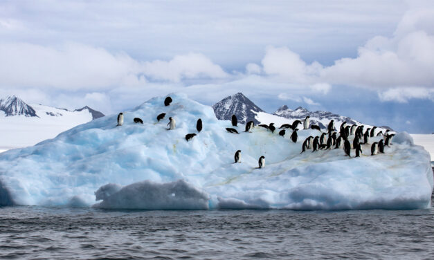 Mirrorless Photography Adventures in Antarctica by Rick Sammon