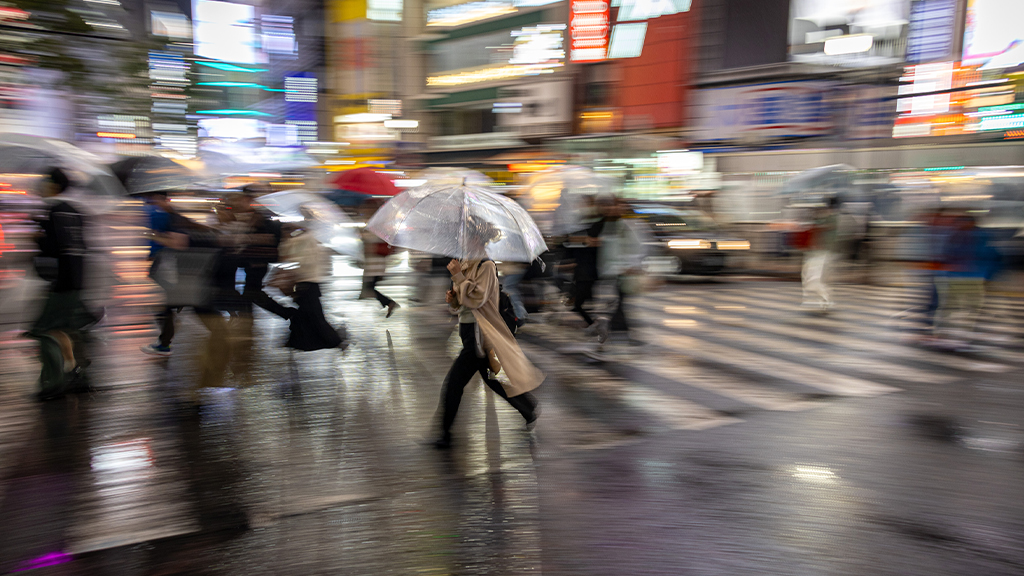 Affordable Tokyo: The Time is Right for This Photography Journey 