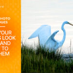 Why Your Photos Look “Off” And How to Fix Them