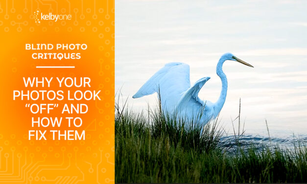 Why Your Photos Look “Off” And How to Fix Them