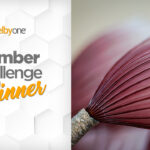 Texture Challenge Winner: Bruce Hootman | Member Challenge 62