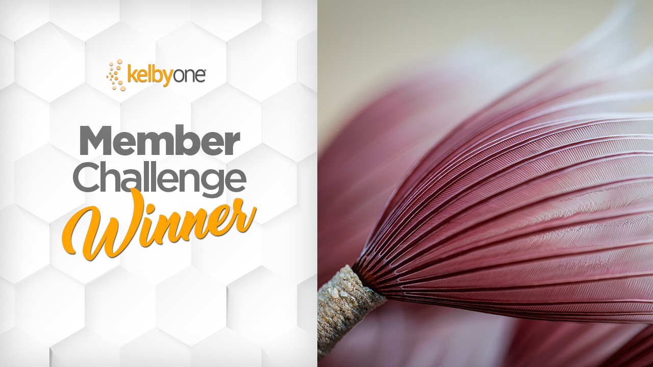 Texture Challenge Winner: Bruce Hootman | Member Challenge 62