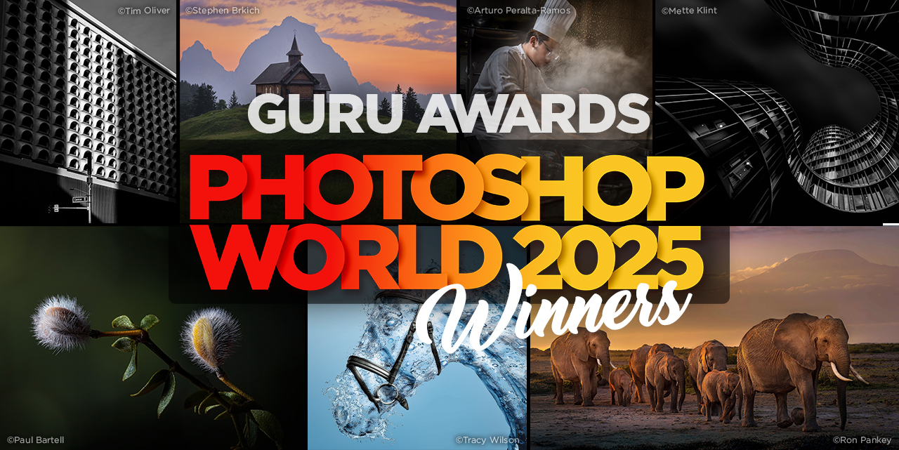 The 2025 Guru Awards: Where Creativity Takes the Spotlight