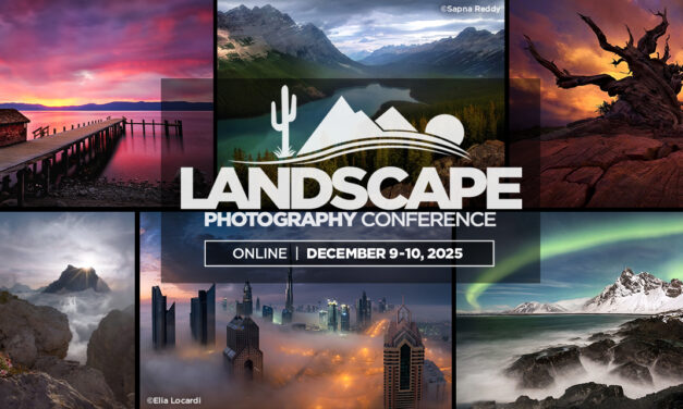 Your Journey to Landscape Mastery Starts Here