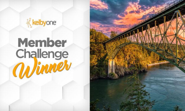 Bridges & Tunnels Challenge Winner: Ian Young | Member Challenge 64