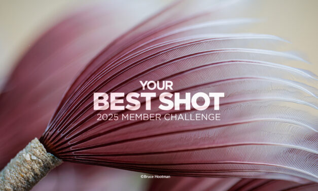 Enter the Your Best Shot 2025 Member Challenge! (& Win Prizes!!)