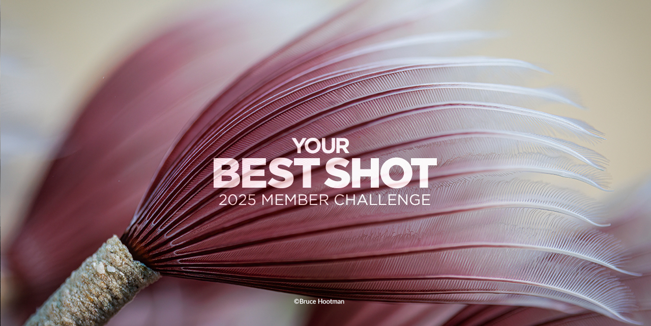 Enter the Your Best Shot 2025 Member Challenge! (& Win Prizes!!)