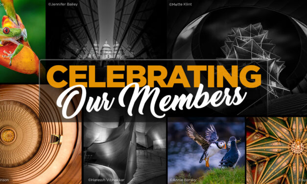 Thankful for Our Members & Their Accomplishments