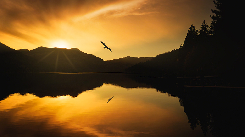 Transforming Donner Lake from Ordinary to Extraordinary with Karen Hutton