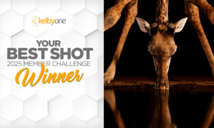 Your Best Shot 2025 Member Challenge: Winner & Finalists