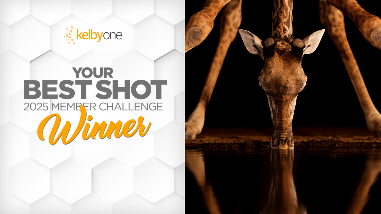 Your Best Shot 2025 Member Challenge: Winner & Finalists