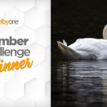 The Quiet Moment Winner & Finalists | Member Challenge 66
