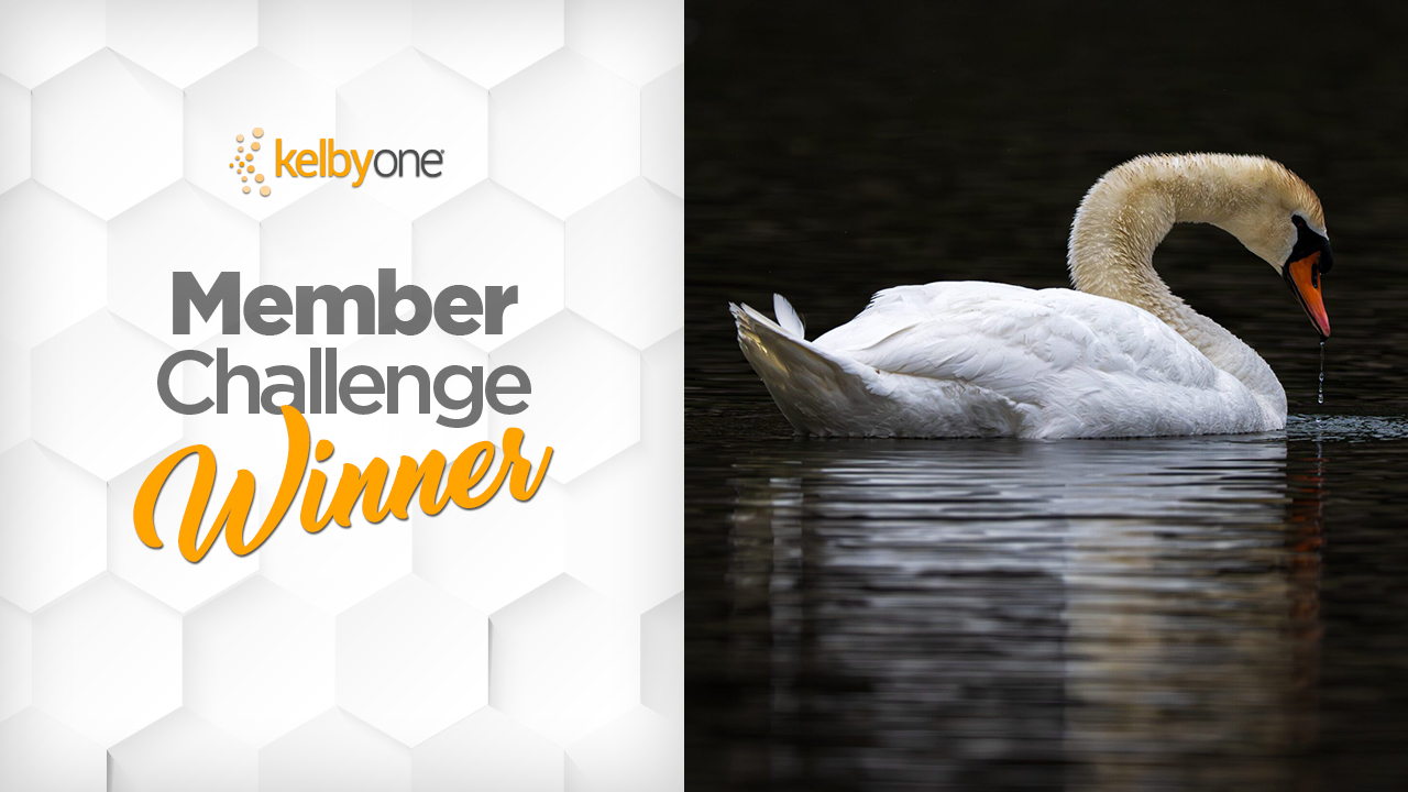 The Quiet Moment Winner & Finalists | Member Challenge 66